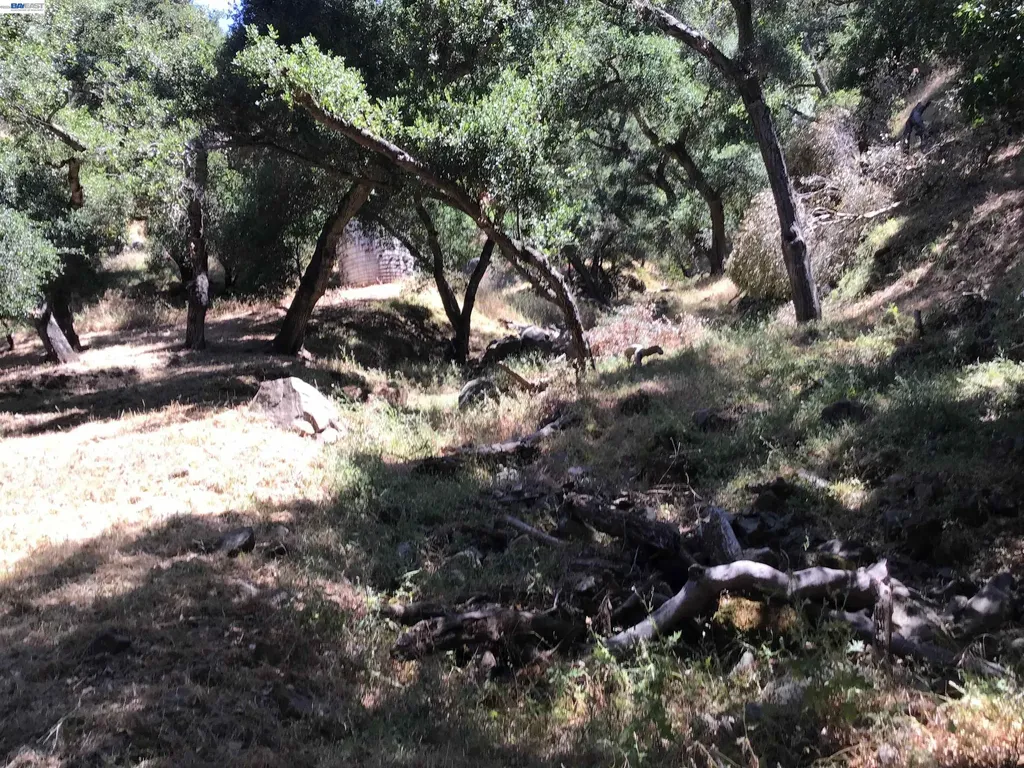 1929 Kilkare Road Sunol CA 94586