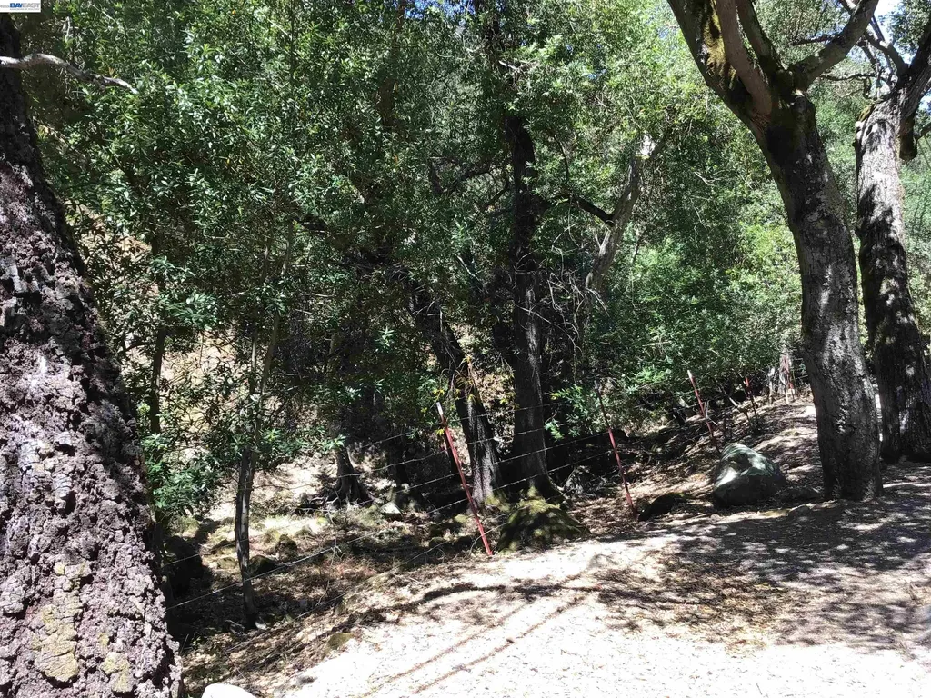 1929 Kilkare Road Sunol CA 94586
