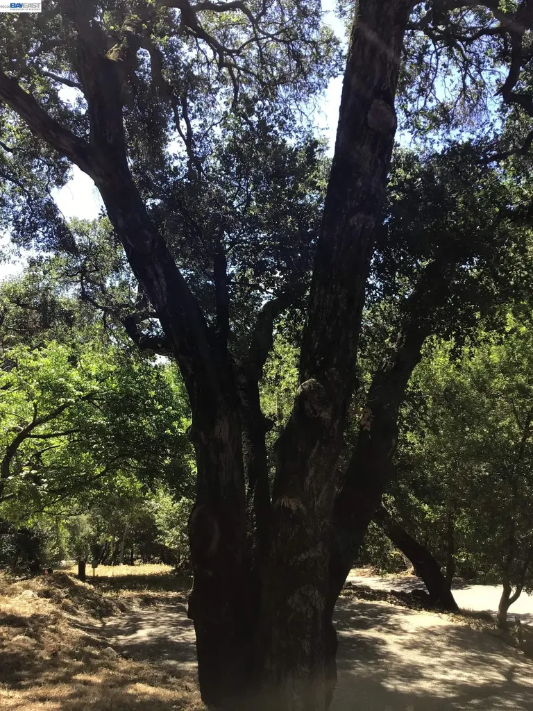 1929 Kilkare Road Sunol CA 94586