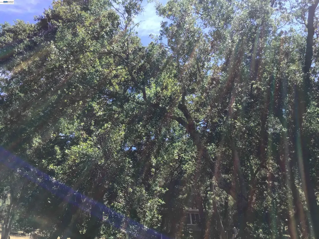 1929 Kilkare Road Sunol CA 94586