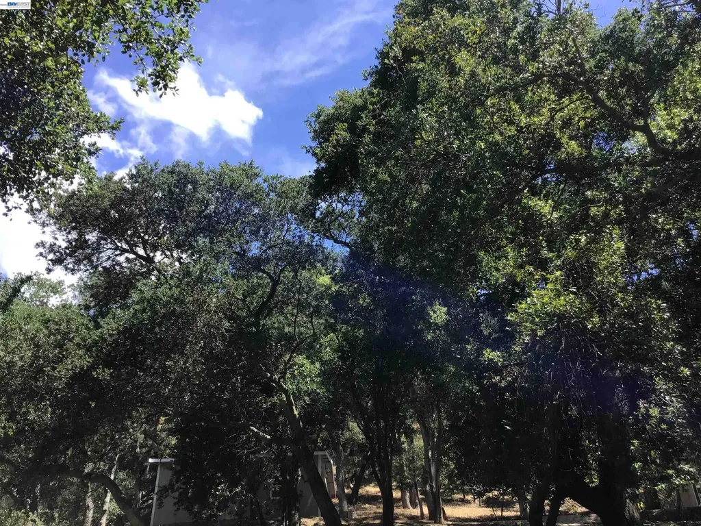 1929 Kilkare Road Sunol CA 94586