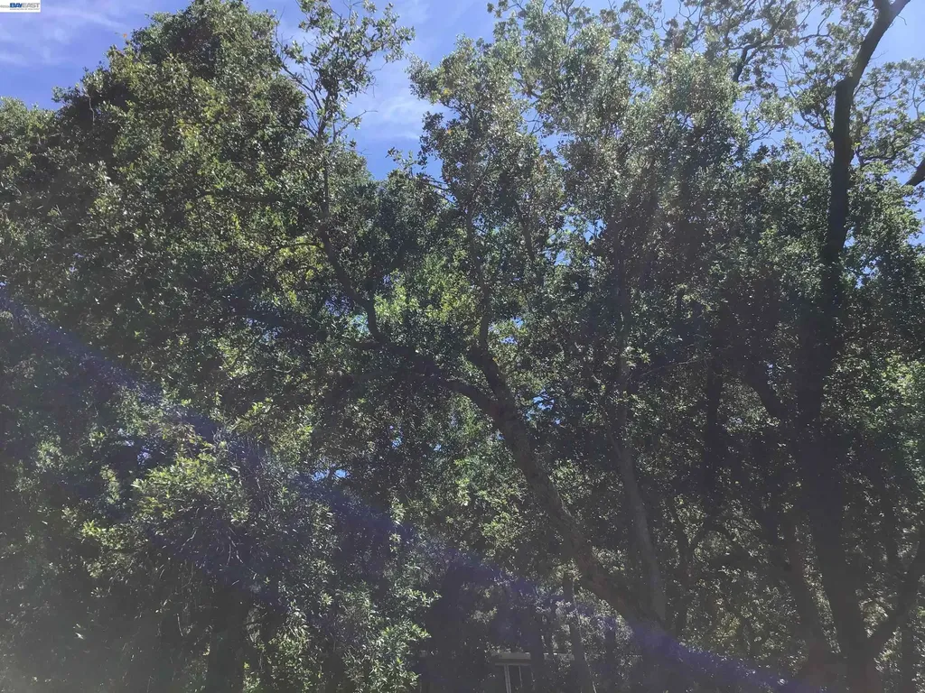 1929 Kilkare Road Sunol CA 94586