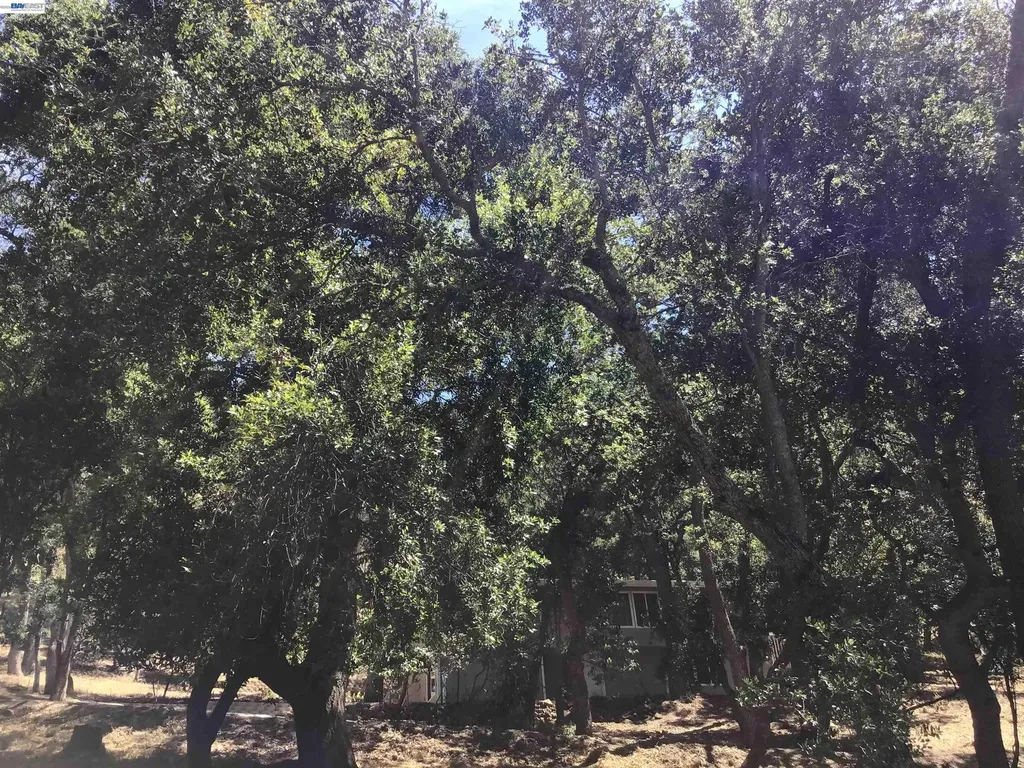 1929 Kilkare Road Sunol CA 94586