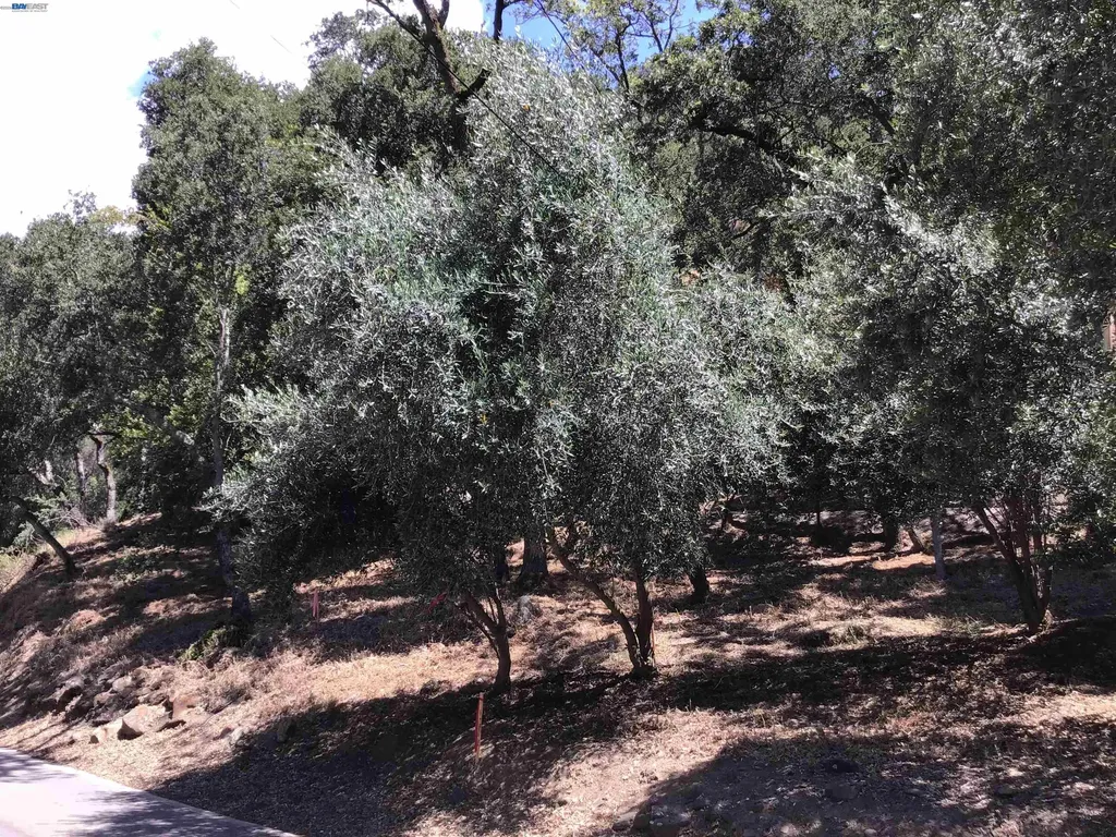 1929 Kilkare Road Sunol CA 94586