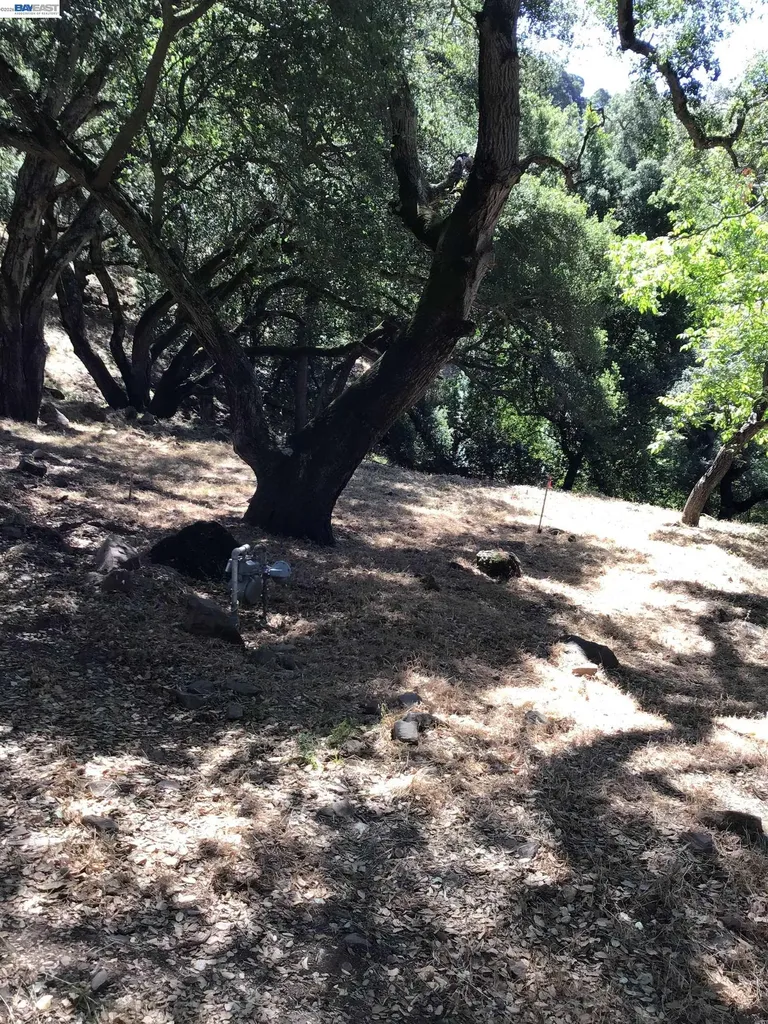 1929 Kilkare Road Sunol CA 94586