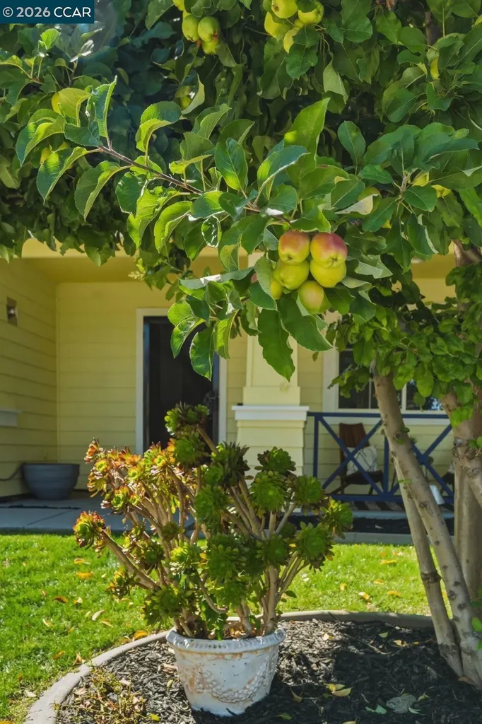 405 Tradewinds Court Bay Point CA 94565