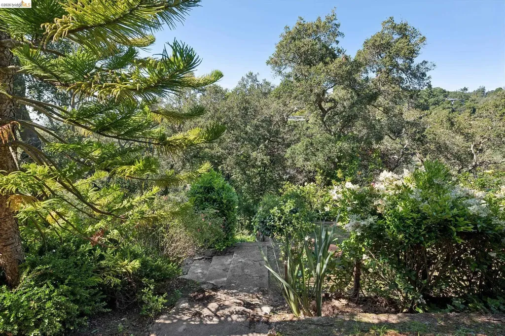 453 Scenic Avenue Piedmont CA 94611