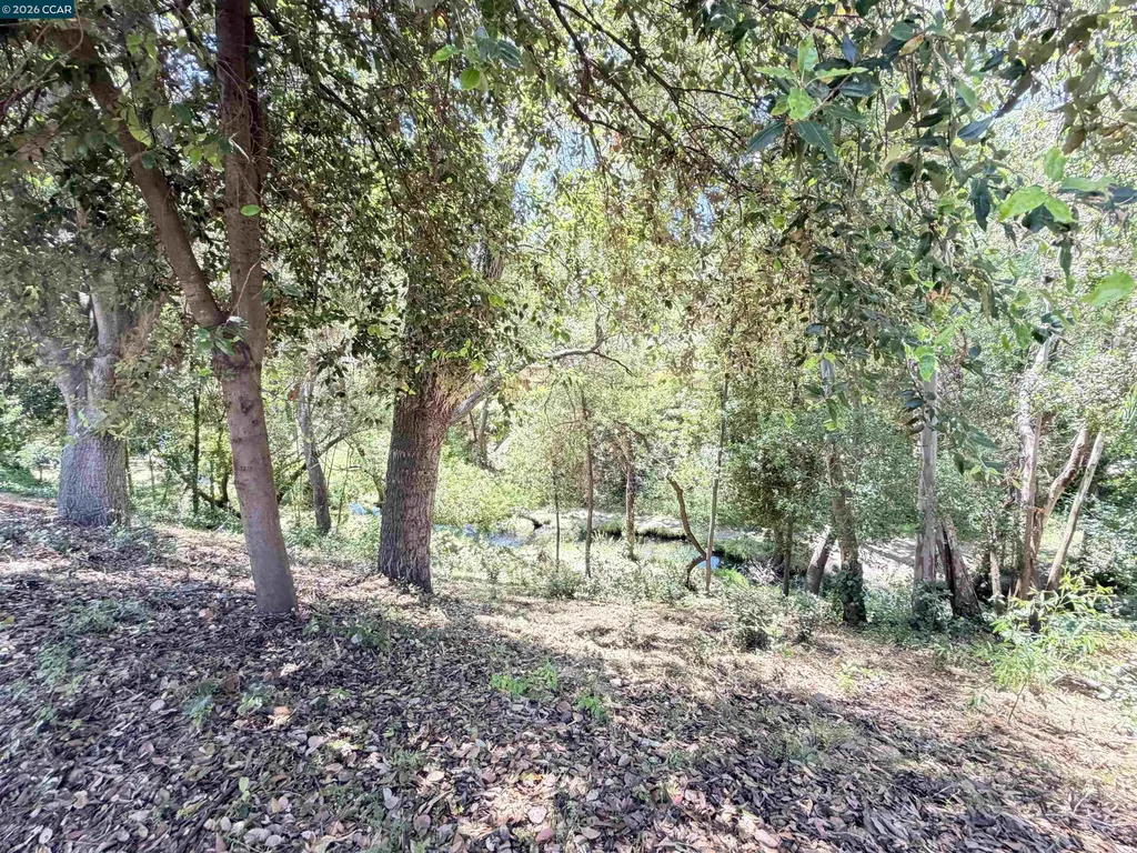 886 Valley Run Hercules CA 94547