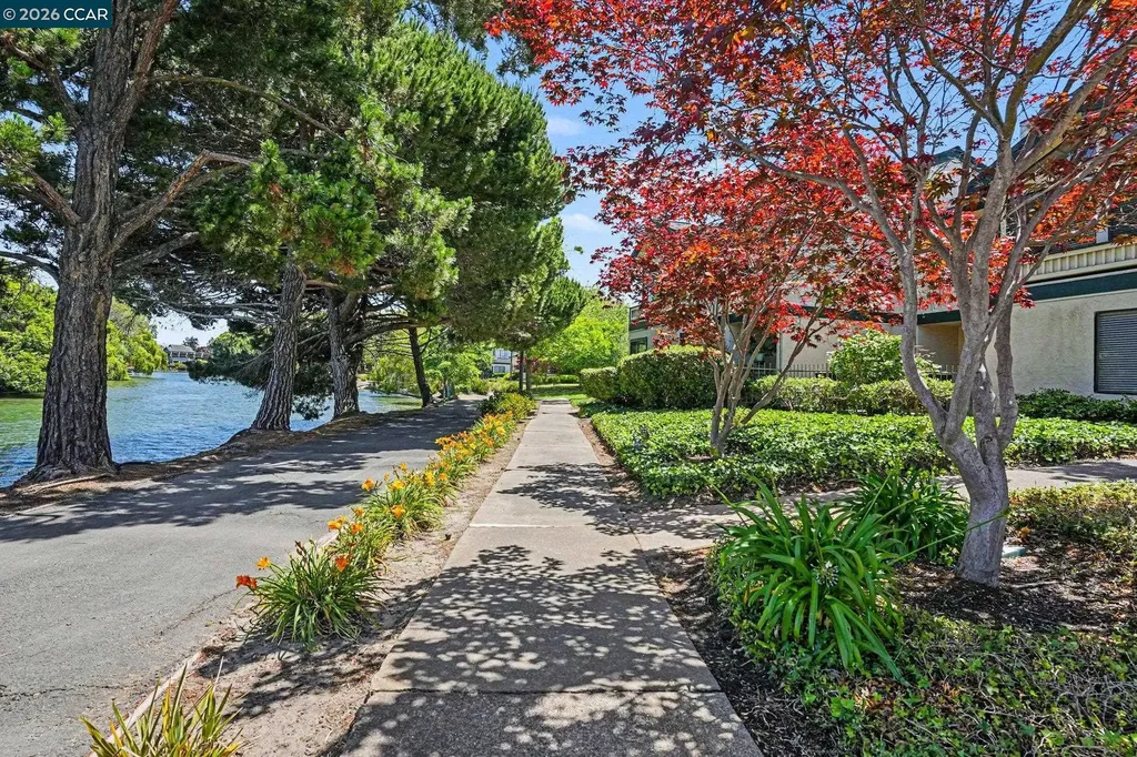 210 Carob Lane Alameda CA 94502