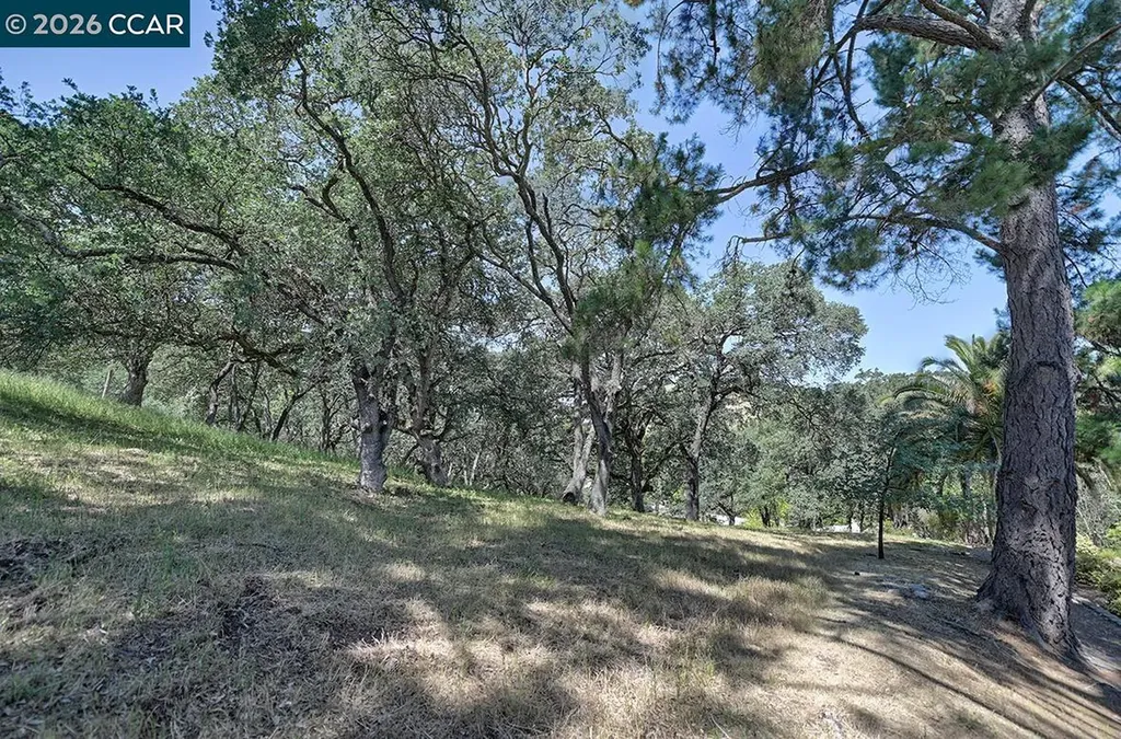 1332 Singingwood Court Walnut Creek CA 94595