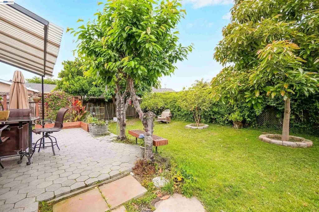 35776 Haley Street Newark CA 94560