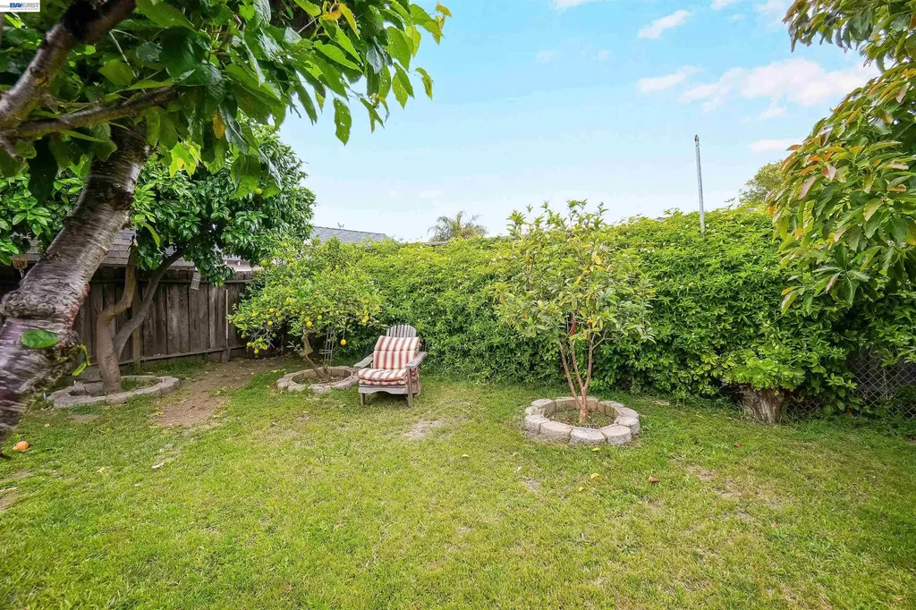 35776 Haley Street Newark CA 94560