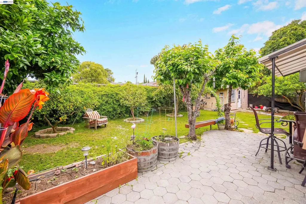 35776 Haley Street Newark CA 94560