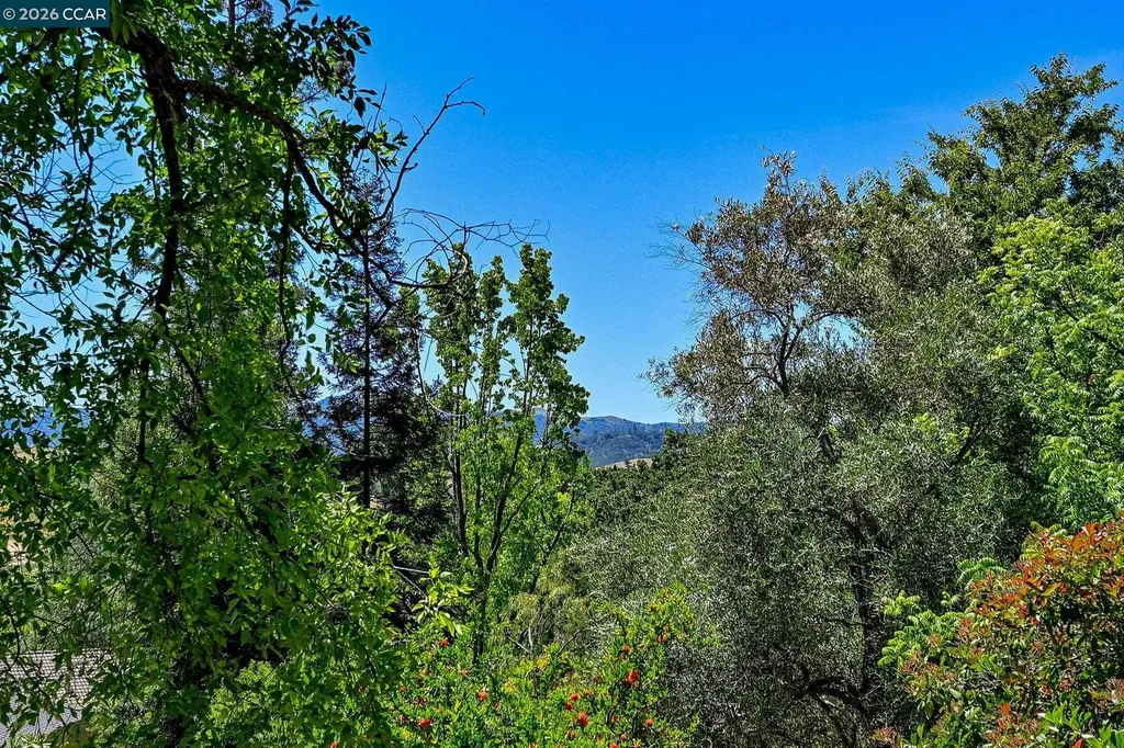 861 Holly Hill Drive Walnut Creek CA 94596