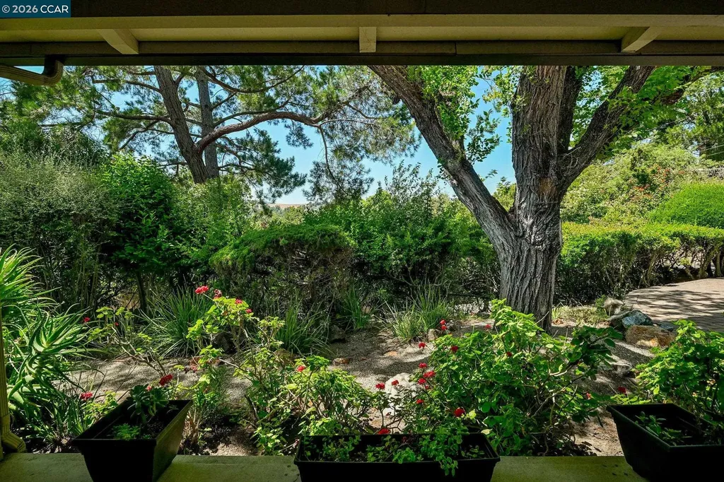 861 Holly Hill Drive Walnut Creek CA 94596