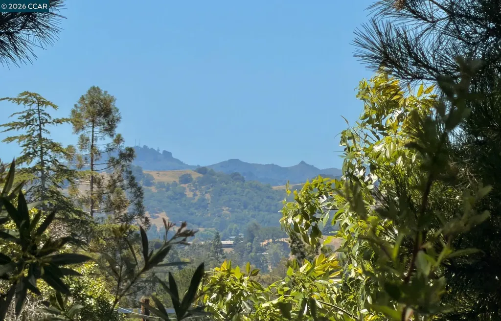 861 Holly Hill Drive Walnut Creek CA 94596