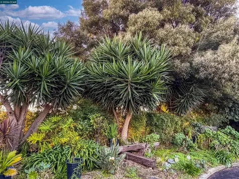 3229 Toyon Terrace Alameda CA 94501