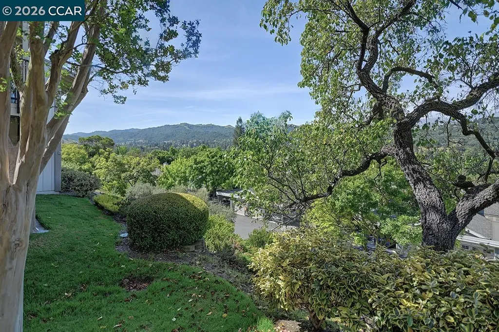 2130 Cactus Court Walnut Creek CA 94595