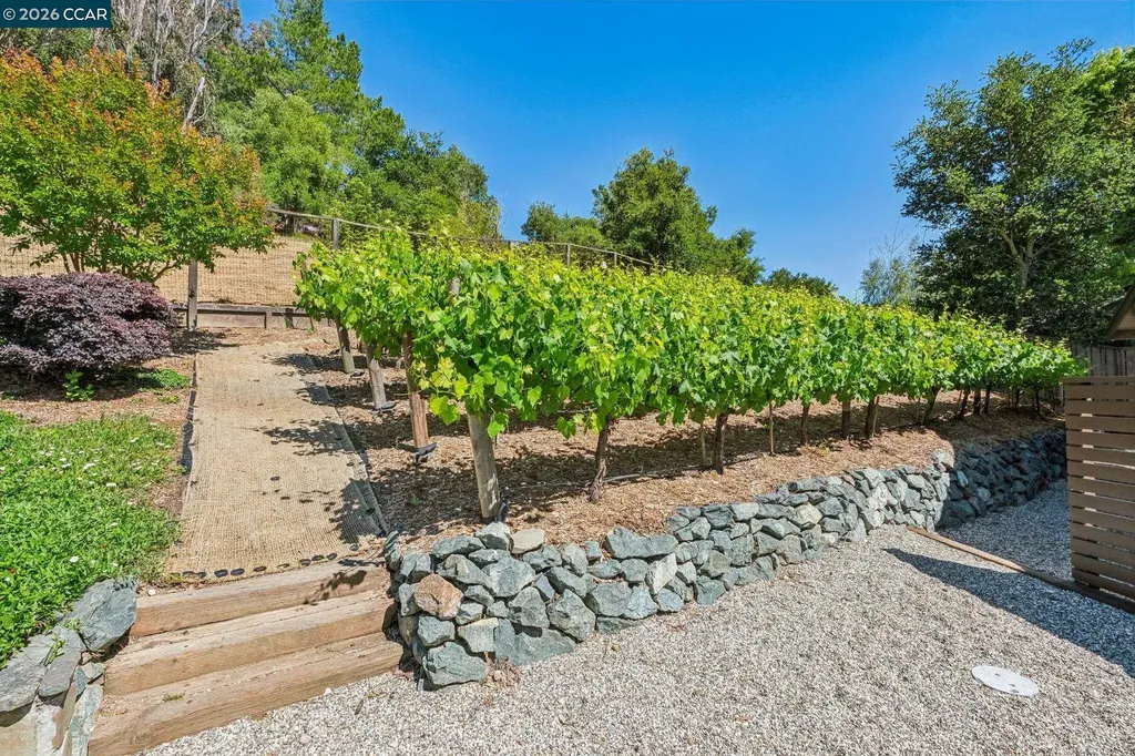 1409 Rimer Drive Moraga CA 94556