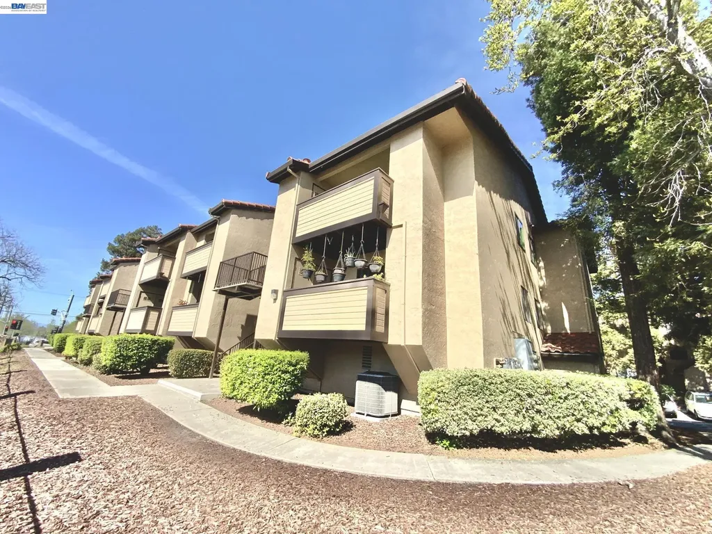 93 Shaniko Common Fremont CA 94539