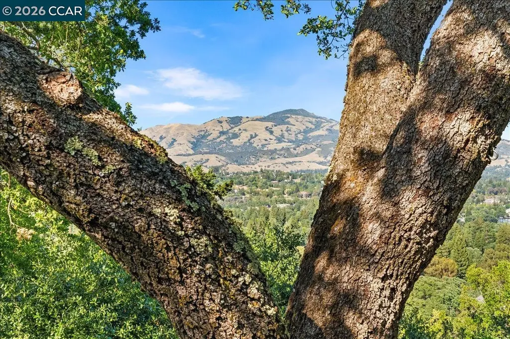 300 Oak View Terrace Danville CA 94526