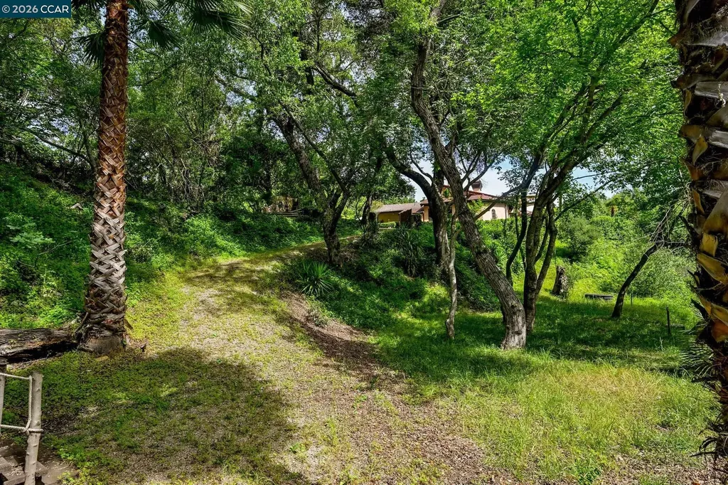 490 St Marys Road Lafayette CA 94549