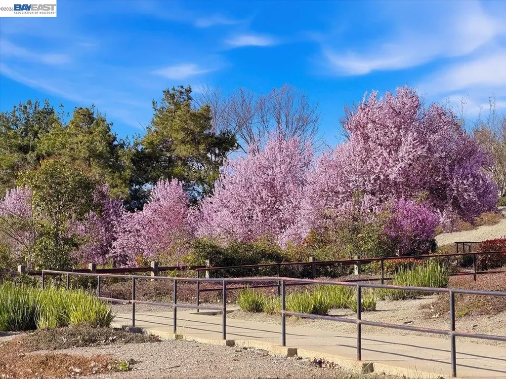 2006 Trefoil Road San Ramon CA 94582