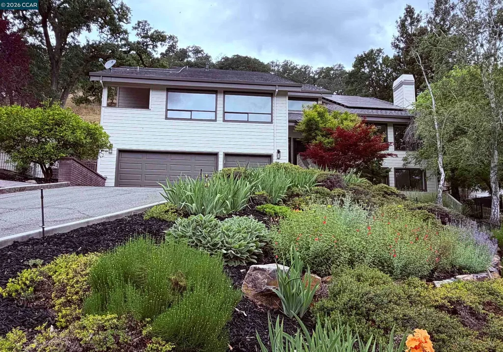 58 Saddle Road Walnut Creek CA 94595