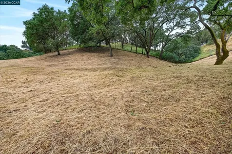 58 Saddle Road Walnut Creek CA 94595