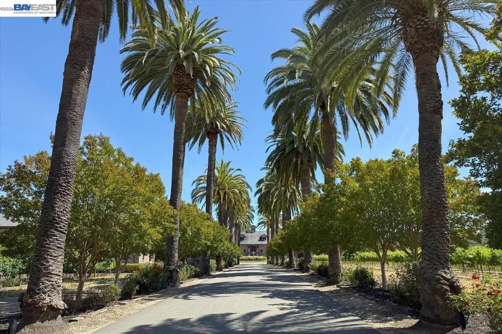 875 Sunny Brook Way Pleasanton CA 94566