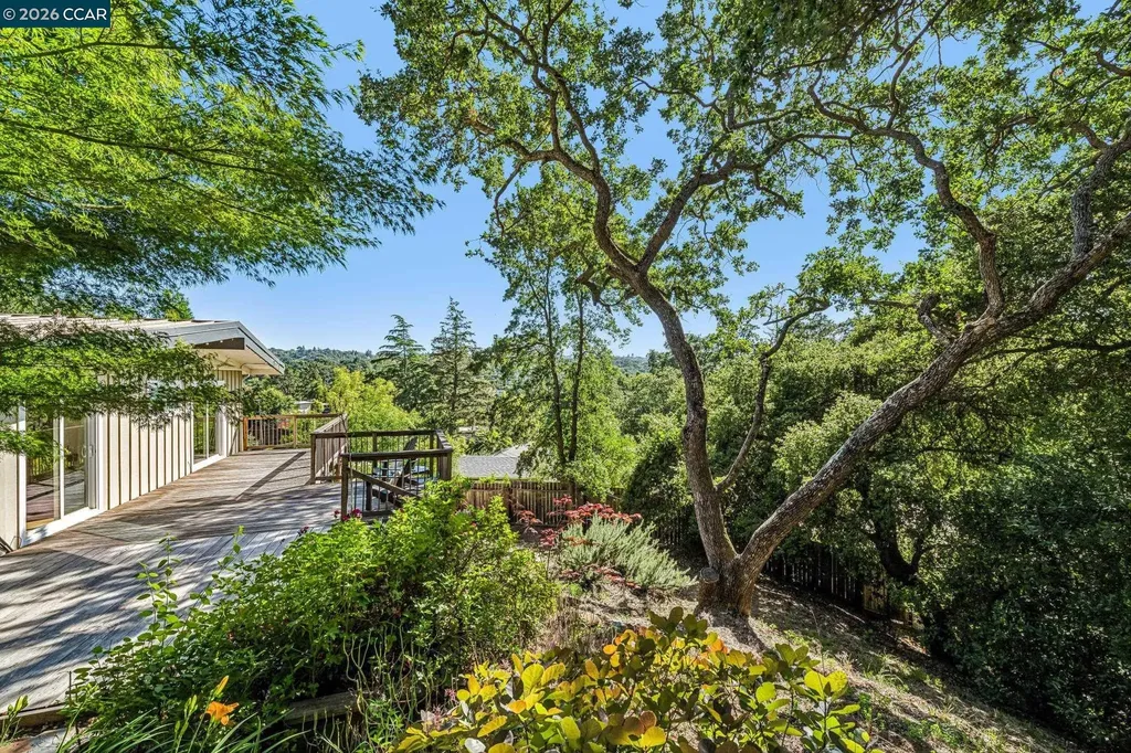 3241 Judith Lane Lafayette CA 94549
