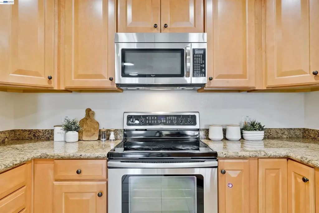 49002 Cinnamon Fern Common Fremont CA 94539
