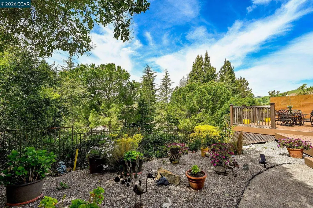 715 Blue Spruce Drive Danville CA 94506