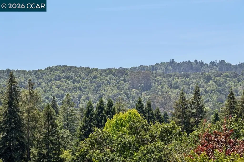 8 Ketelsen Court Moraga CA 94556