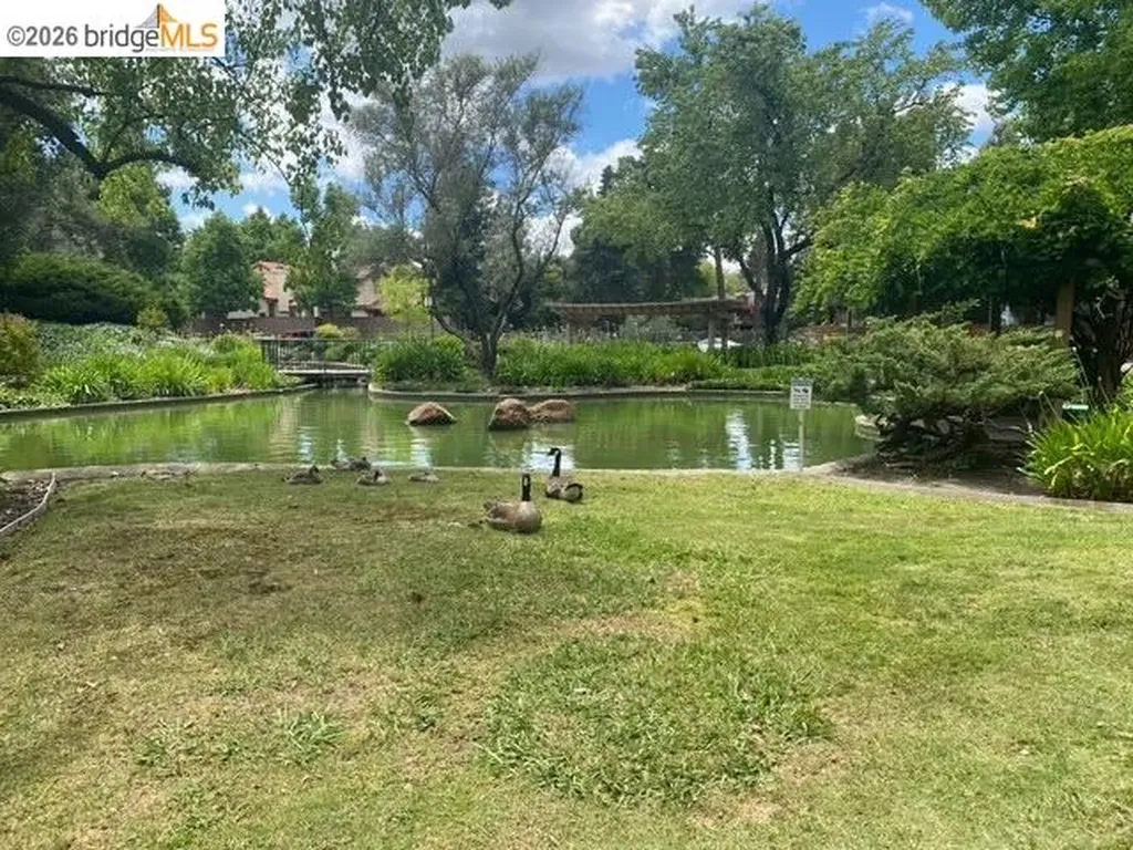 360 Civic Drive Walnut Creek CA 94596