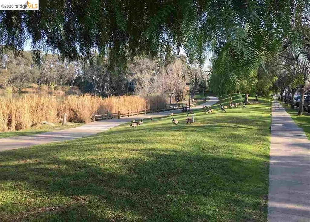 1790 Ellis Street Concord CA 94520