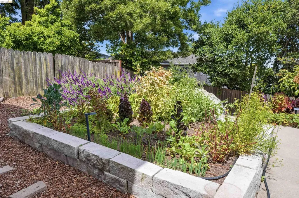 2527 Arlington Boulevard El Cerrito CA 94530