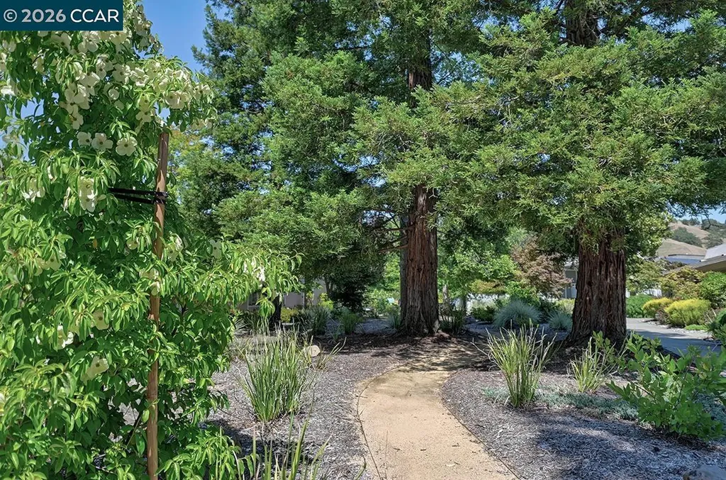 3136 Tice Creek Drive Walnut Creek CA 94595