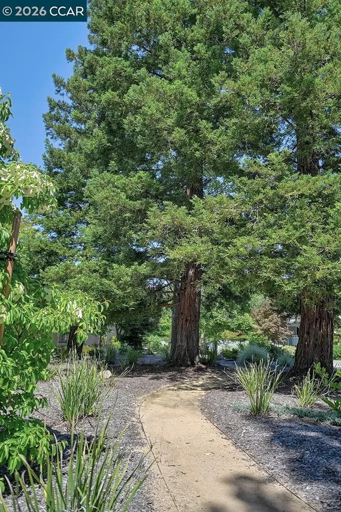 3136 Tice Creek Drive Walnut Creek CA 94595