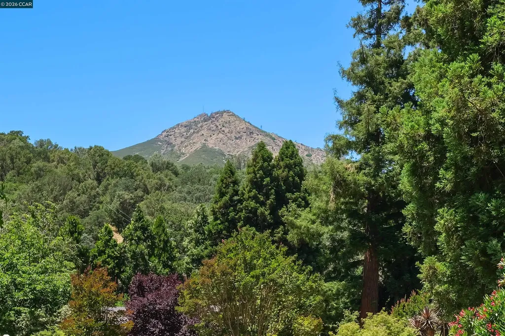 220 Tumbleweed Court Clayton CA 94517
