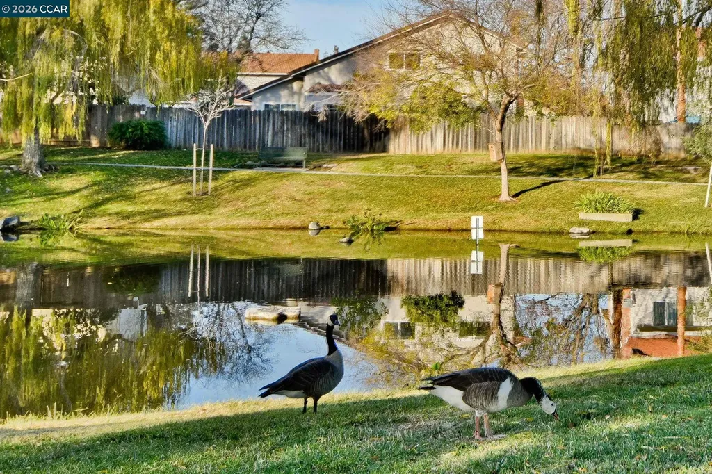 1284 Pinecrest Drive Concord CA 94521