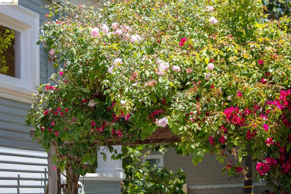2238 California Street Berkeley CA 94703
