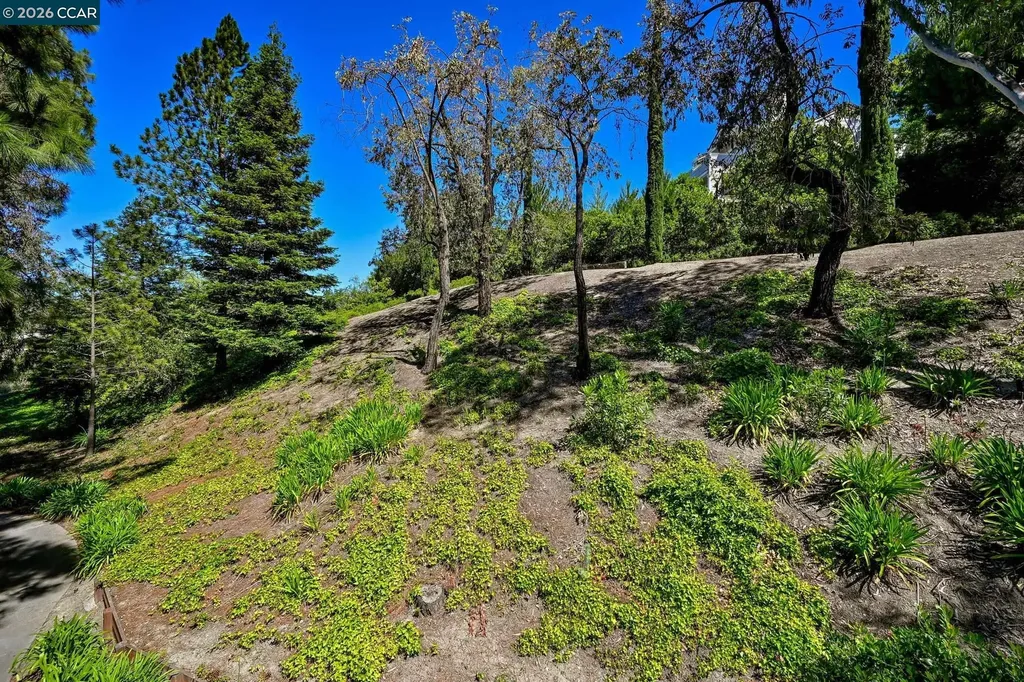 200 Norris Canyon Place San Ramon CA 94583