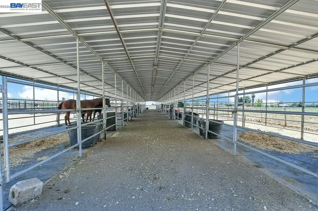 195 Payne Avenue Brentwood CA 94513