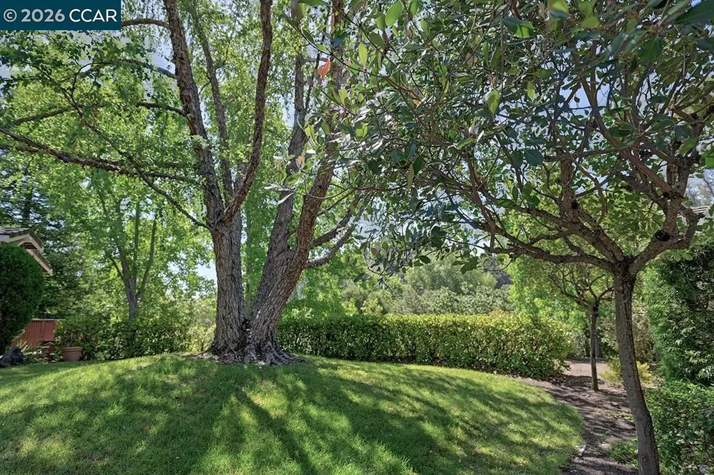 1706 Comstock Drive Walnut Creek CA 94595