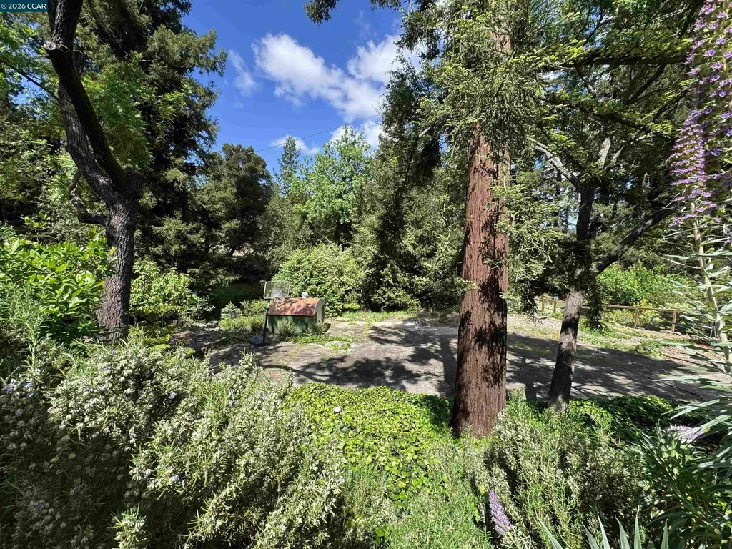 163 El Toyonal Orinda CA 94563