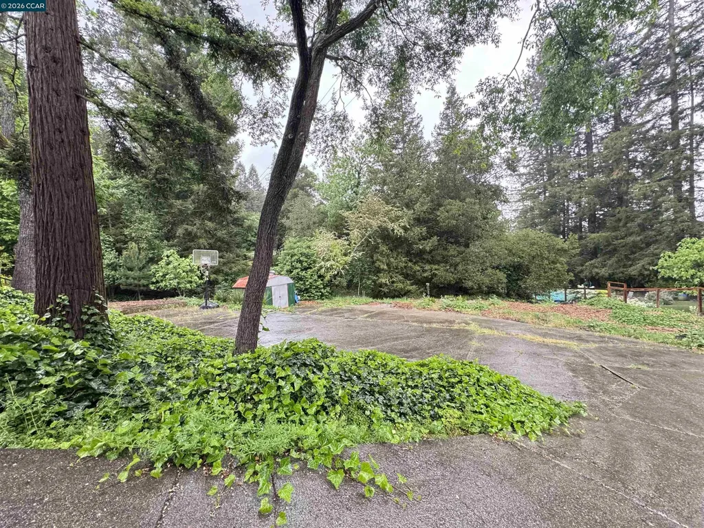 163 El Toyonal Orinda CA 94563