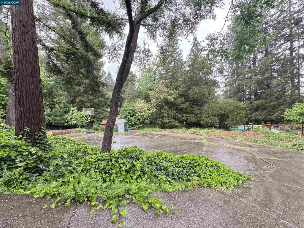 163 El Toyonal Orinda CA 94563