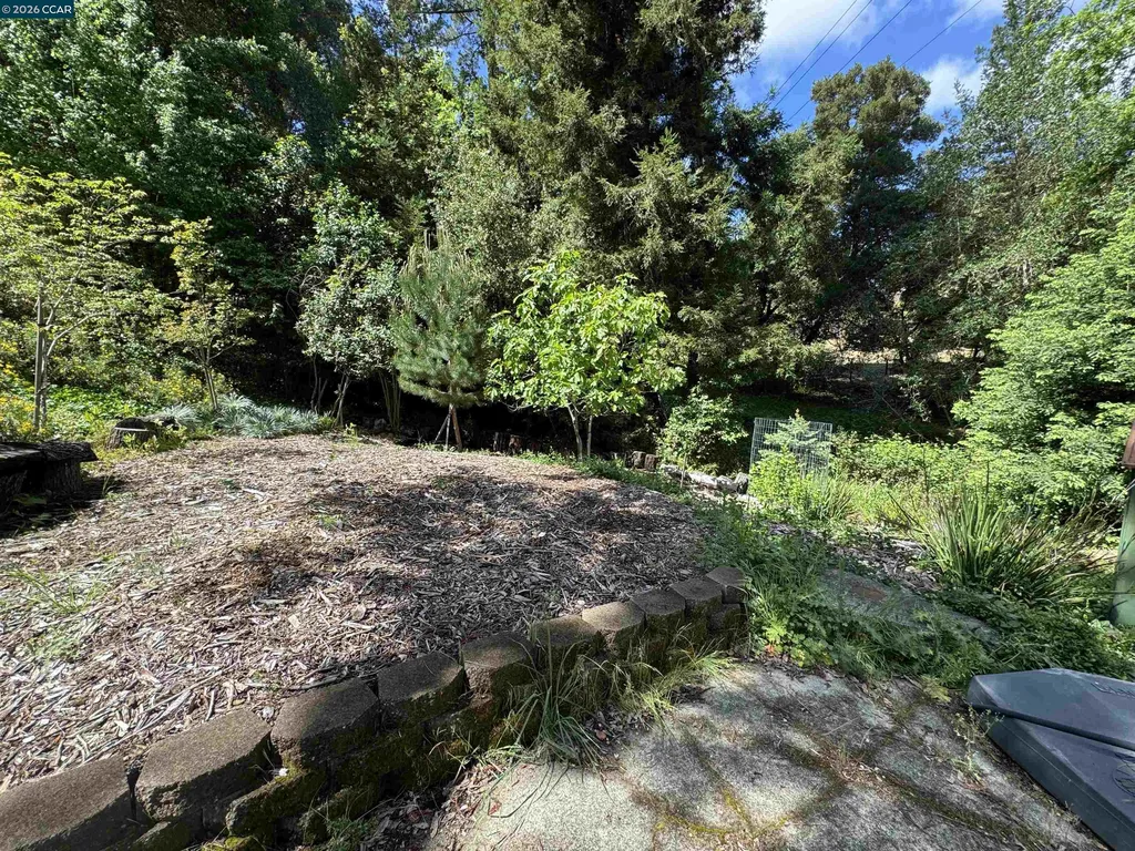 163 El Toyonal Orinda CA 94563