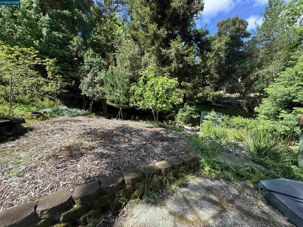 163 El Toyonal Orinda CA 94563